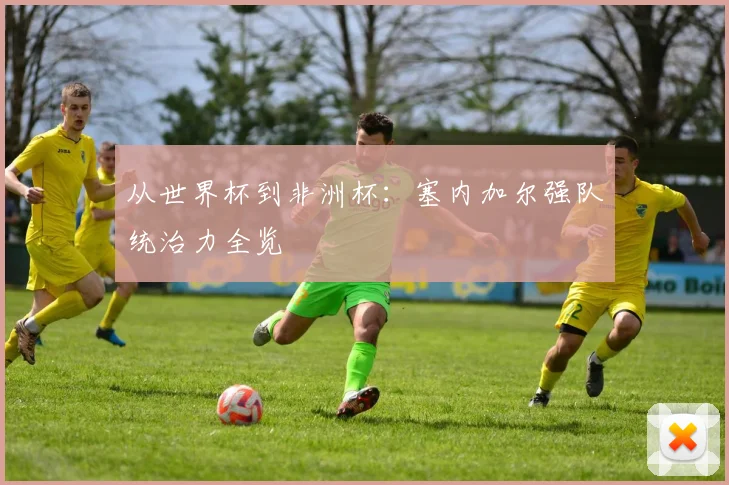 从世界杯到非洲杯：塞内加尔强队统治力全览