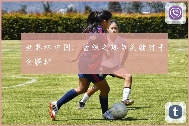 世界杯中国：晋级之路与关键对手全解析