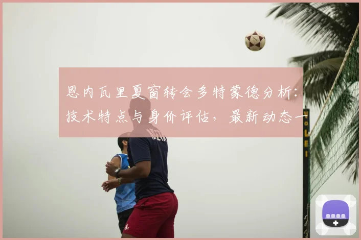 恩内瓦里夏窗转会多特蒙德分析：技术特点与身价评估，最新动态一览